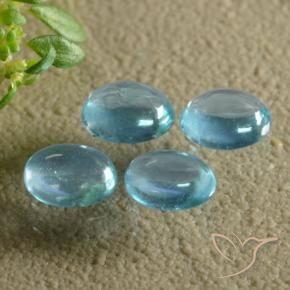 Pedras preciosas de Apatita Azul esverdeado brilhante natural de 1.32 ct, oval, Transparente