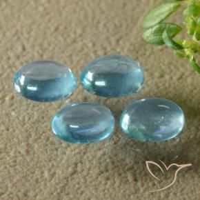 Pedras preciosas de Apatita Azul esverdeado brilhante natural de 1.32 ct, oval, Transparente