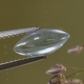 água-marinha Azul claro Natural 1.06ct, Marquesa, Transparente