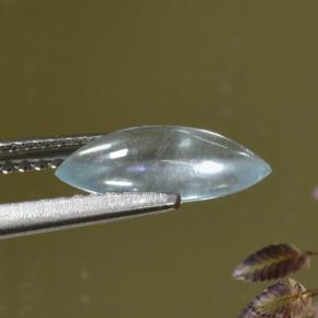 água-marinha Azul claro Natural 1.06ct, Marquesa, Transparente