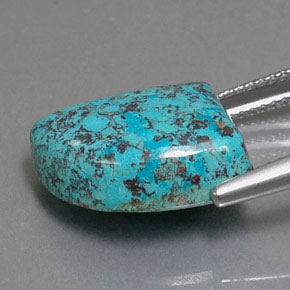 azurita Azul Multicor Natural 9.02ct, Forma extravagante, Opaco