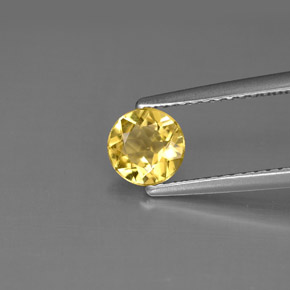 Berilo Amarelo Dourado Natural 0.52ct, Corte Redondo, VS