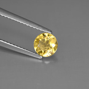 Berilo Amarelo Dourado Natural 0.52ct, Corte Redondo, VS