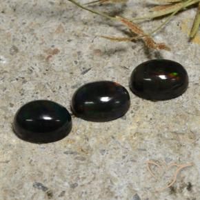 Pedras preciosas de Opala negra Multicolorido natural de 2.84 ct, oval, Translúcido