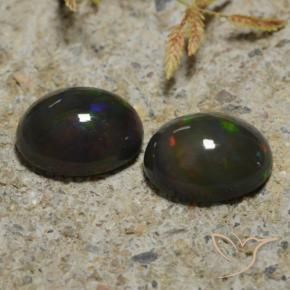 Pedras preciosas de Opala negra Multicolorido natural de 2.65 ct, oval, Translúcido