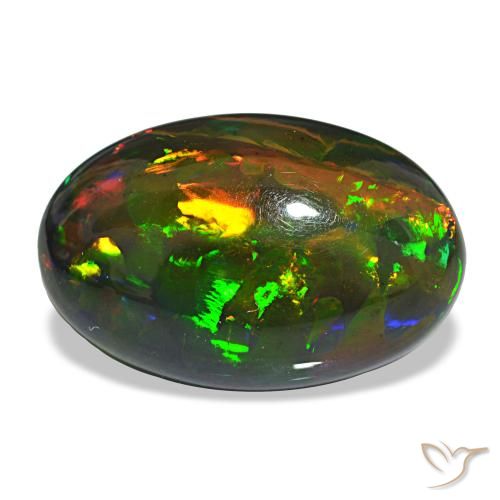 12.21ct multicolorido opala negra, oval, opaco