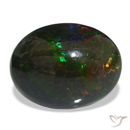 Opala negra multicolorido natural 16,29ct, corte oval, opaco