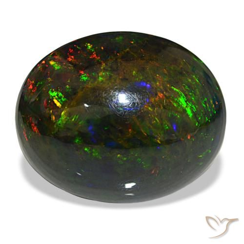 21.50ct multicolorido opala negra, oval, opaco