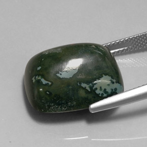 Pedra de sangue verde natural 18,96ct, almofada cortada, opaco