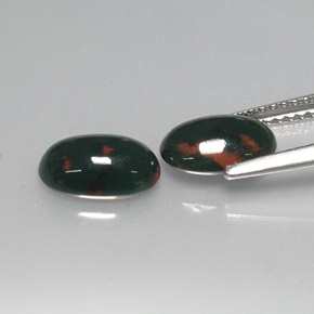 Pedras preciosas de Pedra de Sangue verde manchado natural de  ct, Corte Oval, Opaco