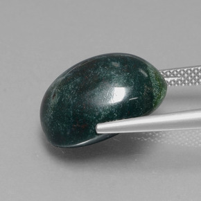 Pedra de sangue verde natural 13,33ct, corte oval, opaco