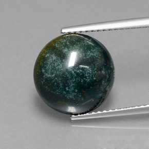 Pedra de sangue verde natural 5,87ct, corte redondo, opaco