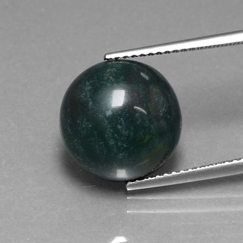Pedra de Sangue verde escuro Natural 8.75ct, Corte Redondo, Opaco