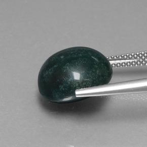 Pedra de Sangue verde escuro Natural 8.75ct, Corte Redondo, Opaco