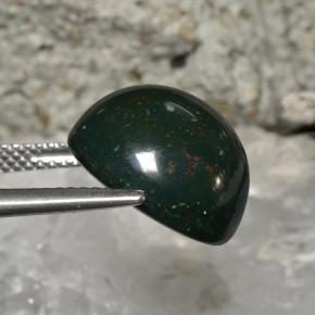 Pedra de sangue verde natural 11,27ct, corte redondo, opaco