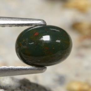 Pedra de Sangue Verde Natural 0.83ct, Corte Oval, Opaco