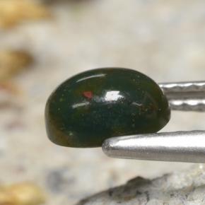 Pedra de Sangue Verde Natural 0.83ct, Corte Oval, Opaco