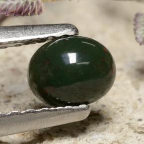 Pedra de Sangue Verde Natural 0.36ct, Corte Oval, Opaco