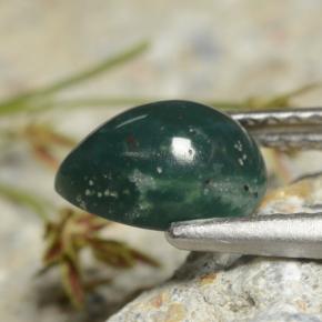Pedra de sangue verde natural 1,09ct, formato de pêra, opaco