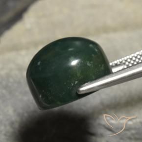 Pedra de Sangue verde escuro Natural 13.42ct, Redondo, Opaco