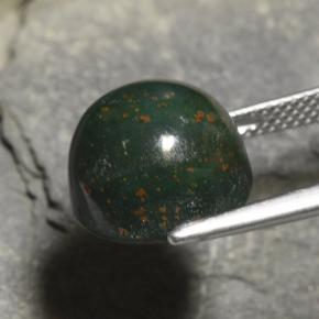 Pedra de sangue verde natural 8,82ct, corte redondo, opaco