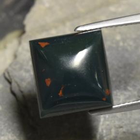 Pedra de sangue verde natural 12,04ct, quadrado, opaco
