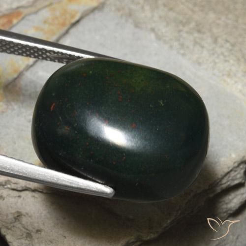 Pedra de Sangue Verde floresta Natural 18.22ct, oval, Opaco