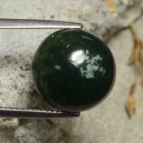 Pedra de sangue verde natural 8,69ct, corte redondo, opaco
