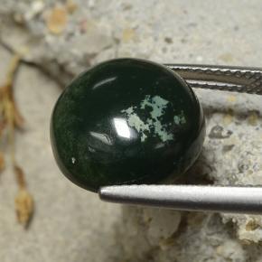 Pedra de sangue verde natural 8,69ct, corte redondo, opaco