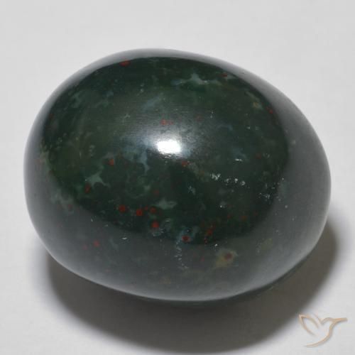 Pedra de Sangue Verde floresta Natural 15.30ct, oval, Opaco