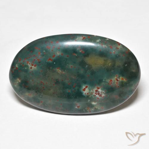 21.79ct Natural Multicolorido Pedra de Sangue, oval, Opaco