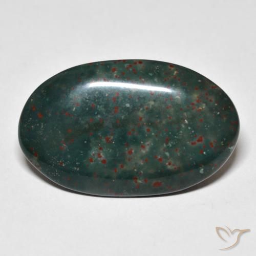 18.31ct Natural Multicolorido Pedra de Sangue, oval, Opaco