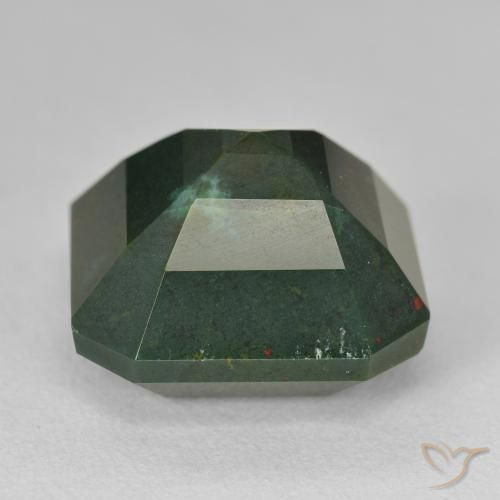 Pedra de Sangue Verde floresta Natural 17.25ct, Corte Octógono / Esmeralda, Opaco