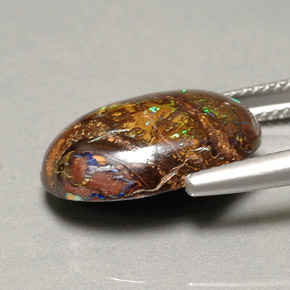 Opala de Pedra Multicolorido Natural 10.06ct, Corte Oval, Opaco