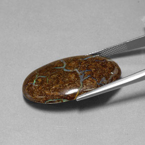 Opala de Pedra Multicolorido Natural 27.95ct, Corte Oval, Opaco