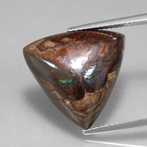Opala de Pedra Multicolorido Natural 13.66ct, Trilhão, Opaco