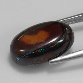 Opala boulder multicolorido natural 9,49ct, corte oval, opaco