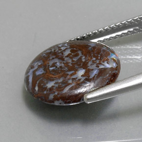 Opala de Pedra Multicolorido Natural 4.48ct, Corte Redondo, Opaco