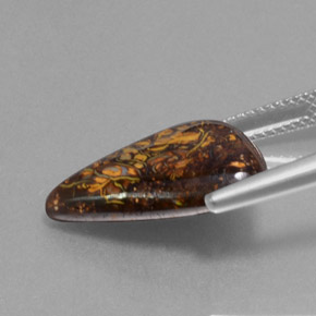 Opala de Pedra Multicolorido Natural 9.50ct, Forma extravagante, Opaco