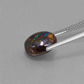 Opala boulder multicolorido natural 3,22ct, corte oval, opaco
