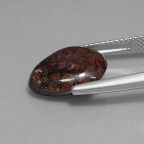 Opala de Pedra Multicolorido Natural 7.09ct, Forma extravagante, Opaco