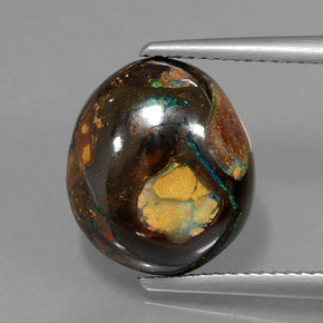 Opala de Pedra Multicolorido Natural 9.05ct, Forma extravagante, Opaco