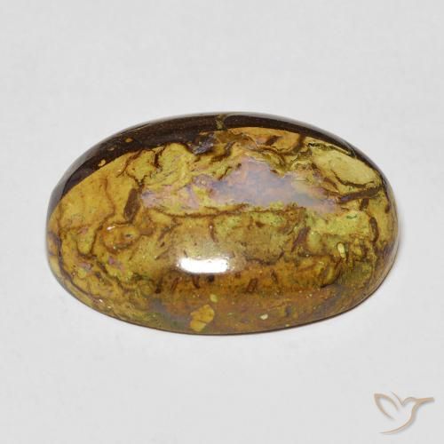 Opala de Pedra Multicolorido Natural 14.45ct, oval, Opaco