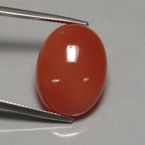 Cornalina laranja natural 17,21ct, transparente, transparente/translúcido