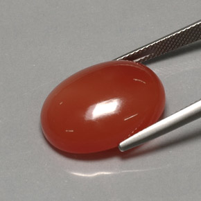 Cornalina laranja natural 17,21ct, transparente, transparente/translúcido