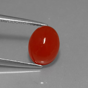 Cornalina Laranja vermelha Natural 2.36ct, Corte Oval, Translúcido