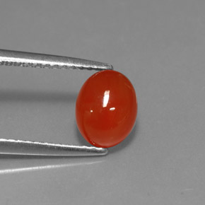 Cornalina Laranja vermelha Natural 1.56ct, Corte Oval, Translúcido