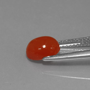 Cornalina Laranja vermelha Natural 1.56ct, Corte Oval, Translúcido