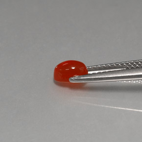 Cornalina Laranja vermelha Natural 0.57ct, Transparente, Transparente/Translúcido