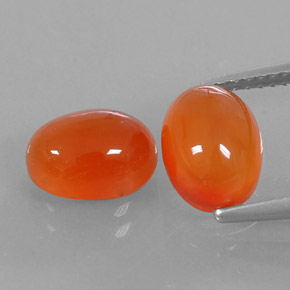 Pedras preciosas de cornalina laranja natural de  ct, transparente, transparente/translúcido